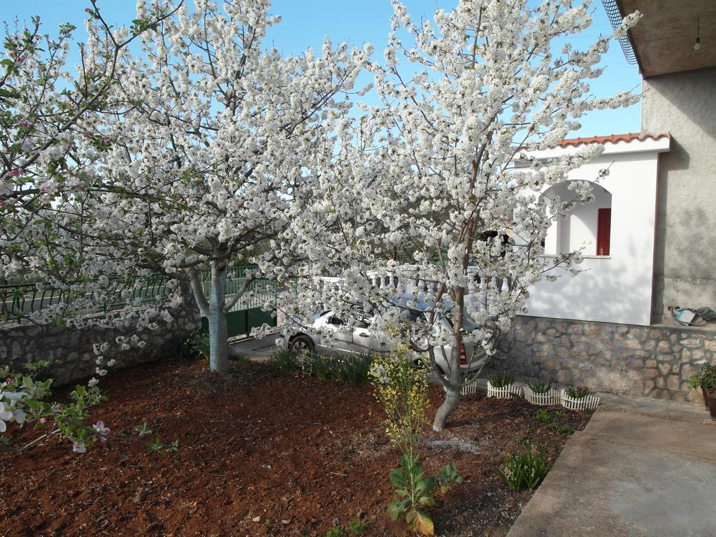 Apartment Antonio Šibenik Dış mekan fotoğraf