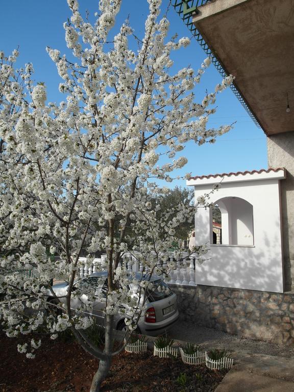 Apartment Antonio Šibenik Dış mekan fotoğraf